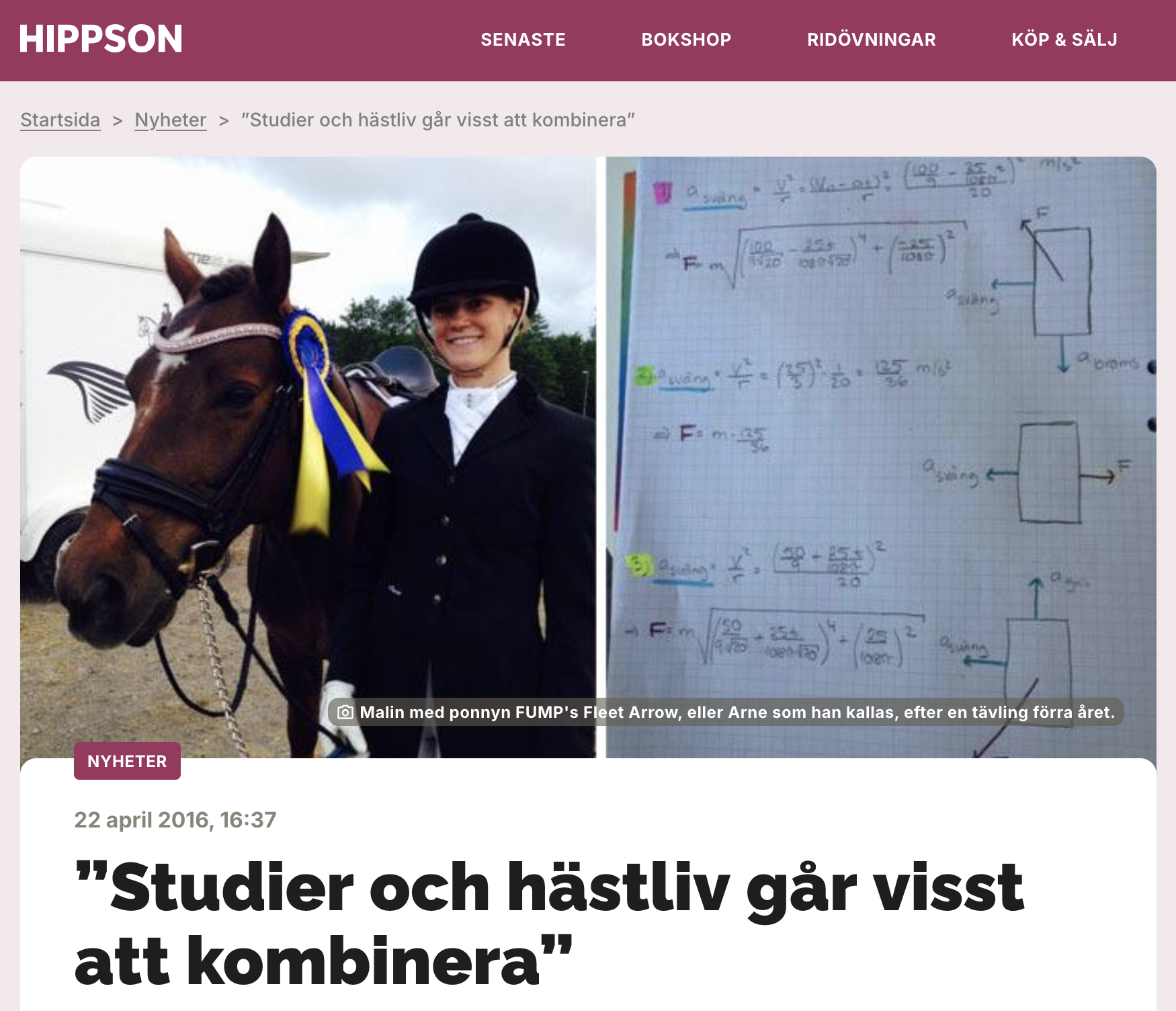 Hippson